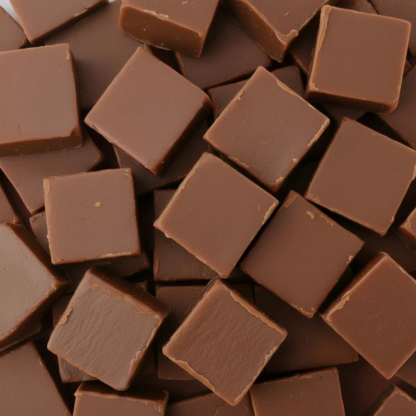 Carousel chocolate fudge, cut into thick squares